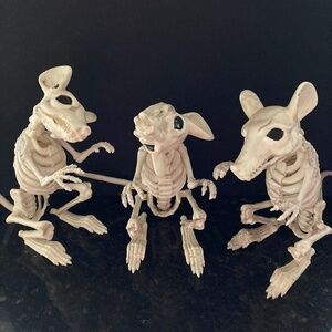 Grandin Road Set of 3 Skeleton Rats for Halloween/Posable Tails/Hinged Jaws/EUC!